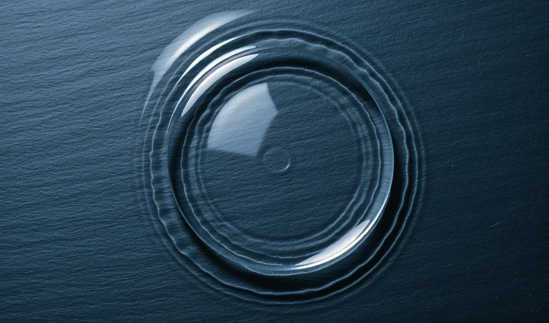 Scientific focus on purity